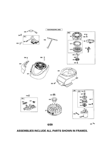 Rewind Starter/Motor Starter Diagram and Parts List for 126T05-1252-EA  Briggs and Stratton Engine